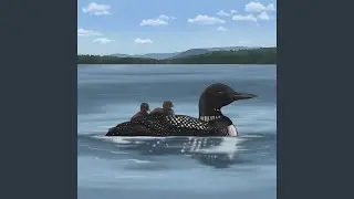 Common Loon