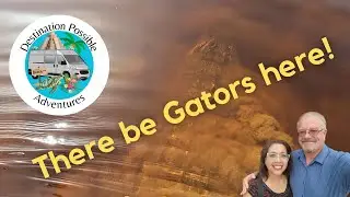 Airboat and Alligator - Oscar Scherer State Park and Wooten's Airboat Tour - wild alligator