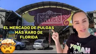 El mercado de pulgas más grande de Florida #florida #cazandoofertas#parati #cuba 