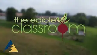 Edible Classroom | Community Green Access Grant