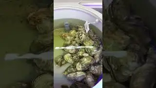 #морепродукты