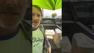 Concreto Recipe