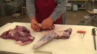 BA Hunting Processing Your Deer: step 1 Shoulder and carcass prep