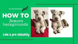 Remove backgrounds in a instant on Procreate