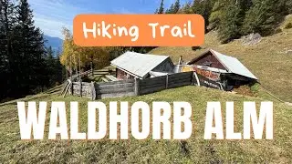 Hiking trail to WALDHORB ALM, Vomperberg
