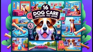Avoid These 16 Common Dog Owner Mistakes 🐕