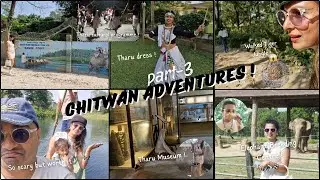  Family Trip to Chitwan Sauraha | Elephant Breeding Center, Tharu Dance, Museum & Canoeing Advent.