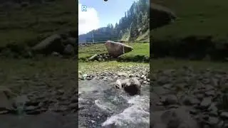 Kishtwar district, view , Jammu and Kashmir state ❣️