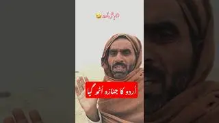 Funny news reporter