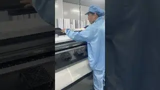 Inside a Car Wrap Factory | Daily Custom Vinyl Wrap Production Process #carwrap