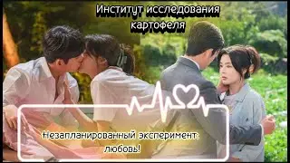 Он не ожидал найти любовь в картофельной лаборатории 😂💘 Институт исследования картофеля