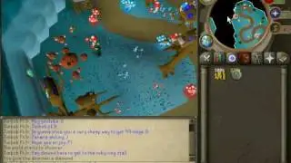 Jimbob pk3r----Zanaris alching  mage pures