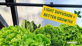 Why This Material is a Must for Your Greenhouse!