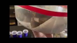 What did I get? #JeffLeibowitz #snakes #snake #reptiles #fyp #foryoupage #tiktok #shorts #shortvideo