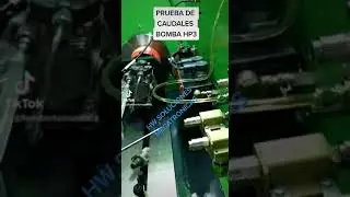 Caudales bomba HP3 DENSO.