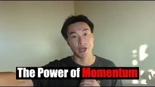The power of Momentum For Self Improvement