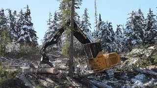 Tigercat 880D Hoechucking / Shovel Logging in Northern BC