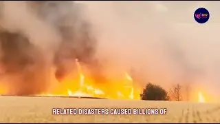 Challenges Facing U.S. Farmers: Climate Disasters, Invasive Species, and Economic Struggles