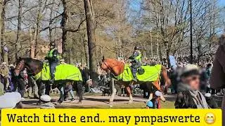 Police horse of Finland made surprise show in vappu p&auml;iv&auml; 🤭 #helsinki #vappu #2025 #park