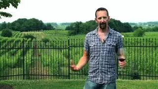 Tawse Winery