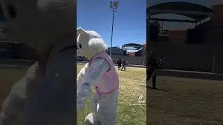 When the Easter Bunny shows out at the event today! #gritty #dancing #easterbunny #sanmanuel