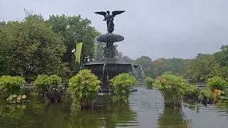 21 seconds of relaxation by the Bethesda Fountain, Central Park, NYC