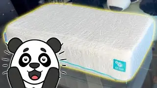 Pillow Cube Review 2022 - Did the Pillow Cube break or save our necks?