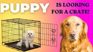 Assemble Durable,Foldable Metal Wire Dog Crate at home| Easy & Quick