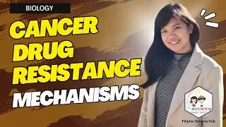 [BIOLOGY] Cancer Drug Resistance Mechanisms