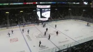St. John's IceCaps vs. Springfield Falcons (April 4th, 2014)