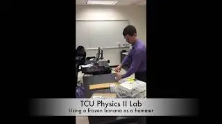 A Frozen Banana is used as a Hammer