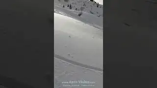 Private: Swiss Bliss Powder Fall Fail &middot; Legendary Slopes Discovery &middot; Top Flop Snowboard sink in snow