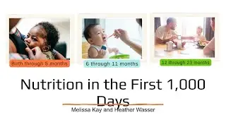 Nutrition in the first 1000 days