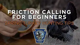 Spring Turkey Hunting Tips - Friction Calling for Beginners