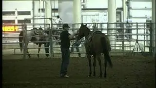 TT Redneck Superstar (Webster)