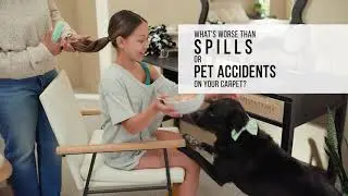 STAINMASTER&reg; PetProtect Carpet&reg; with LeakDefense&trade; - See It In Action