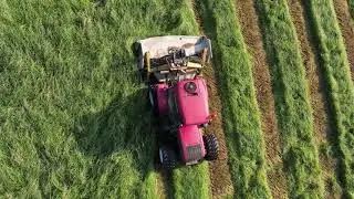 fienagione 2022 - erba medica primo sfalcio - bm tractors 130 - gemelli 330 - farneto