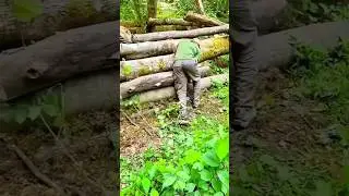 Inside a Hidden Forest Life 🌲🍃 | Simple Living Close to Nature #viral #forestlife #tending