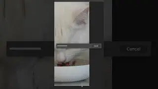 Generative Fill Saved My Video! #ai #shorts #artificialintelligence #photoshopgenerativefill
