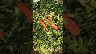 Naari  ki recipe #ytkitchen #talatmenukitchen #talatzayka #cooking #viralvideo #video #shortvideo