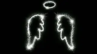 Angel Wings Video Background | Neon Animation Black Screen