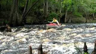 Class II Rapids on the Aucilla River south of Lamont, FL