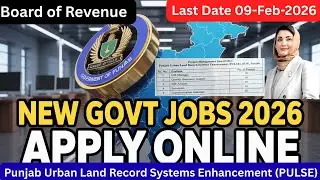 Board of Revenue Punjab Jobs 2026 | Latest PULSE Project Jobs 2026