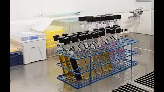 Laboratorio de Referencia de Alimentos y Aguas del Instituto Conmemorativo Gorgas, en Panam&aacute;
