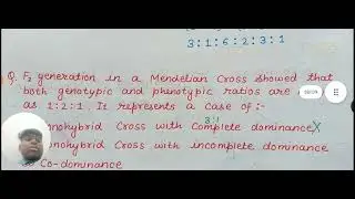 Principal basis of inheritance#biology #class12 #codominance#multiple alleles #detailed explanation 