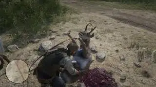 Red Dead Redemption 2 Max Settings 1440p Sparkle A770 OC Edition