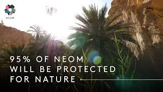 Our goal is to protect and restore nature