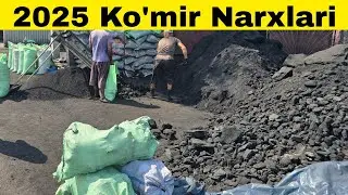 2025 Ko'mir Narxlari +998339808011 +998910578091 #komir #komirnarxlari #кумирнархлари #кумир