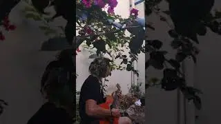 Frikadeller - Kim Larsen 76 - &aring;rs f&oslash;dselsdagshilsen