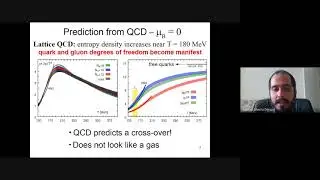Nuclear matter under extreme conditions - Prof. Gabriel Denicol - UFF